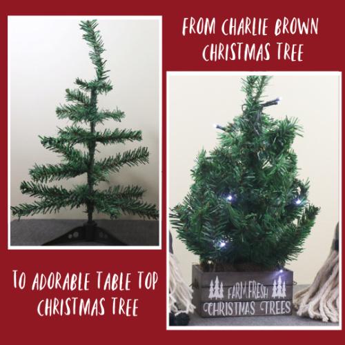 DIY CHARLIE BROWN CHRISTMAS TREE | Table Top Christmas Tree DIY - Rustic Chic by Designs By Gaddis