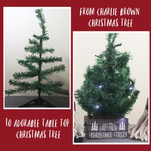 DIY CHARLIE BROWN CHRISTMAS TREE | Table Top Christmas Tree DIY | Designs By Gaddis